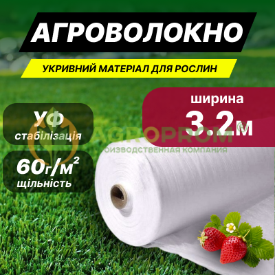 image_in_card