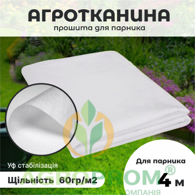 image_in_card