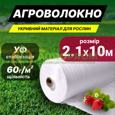 image_in_card
