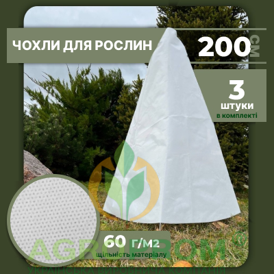 image_in_card