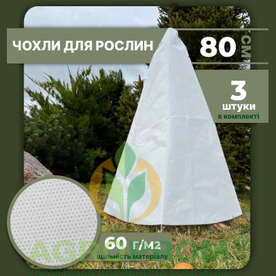 image_in_card