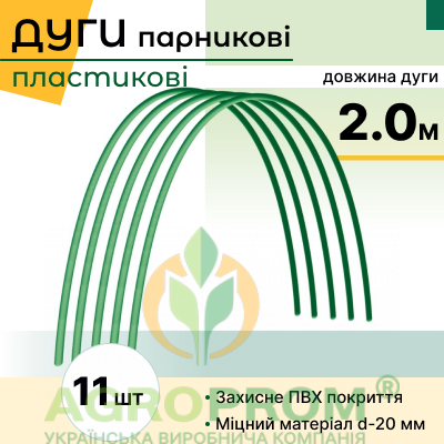 image_in_card