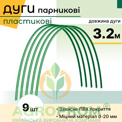 image_in_card