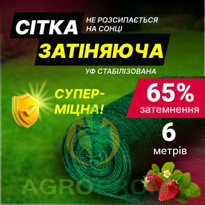 image_in_card