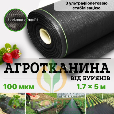 image_in_card