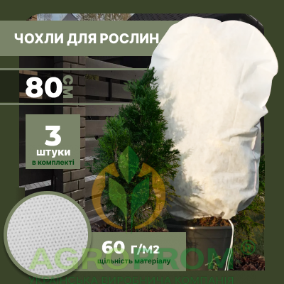 image_in_card
