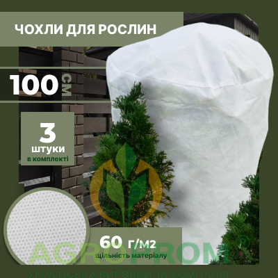 image_in_card