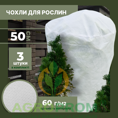 image_in_card