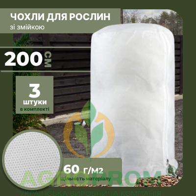 image_in_card