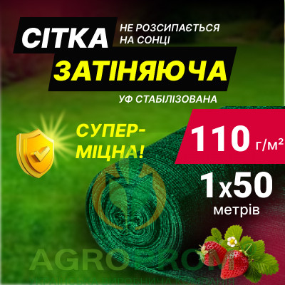 image_in_card
